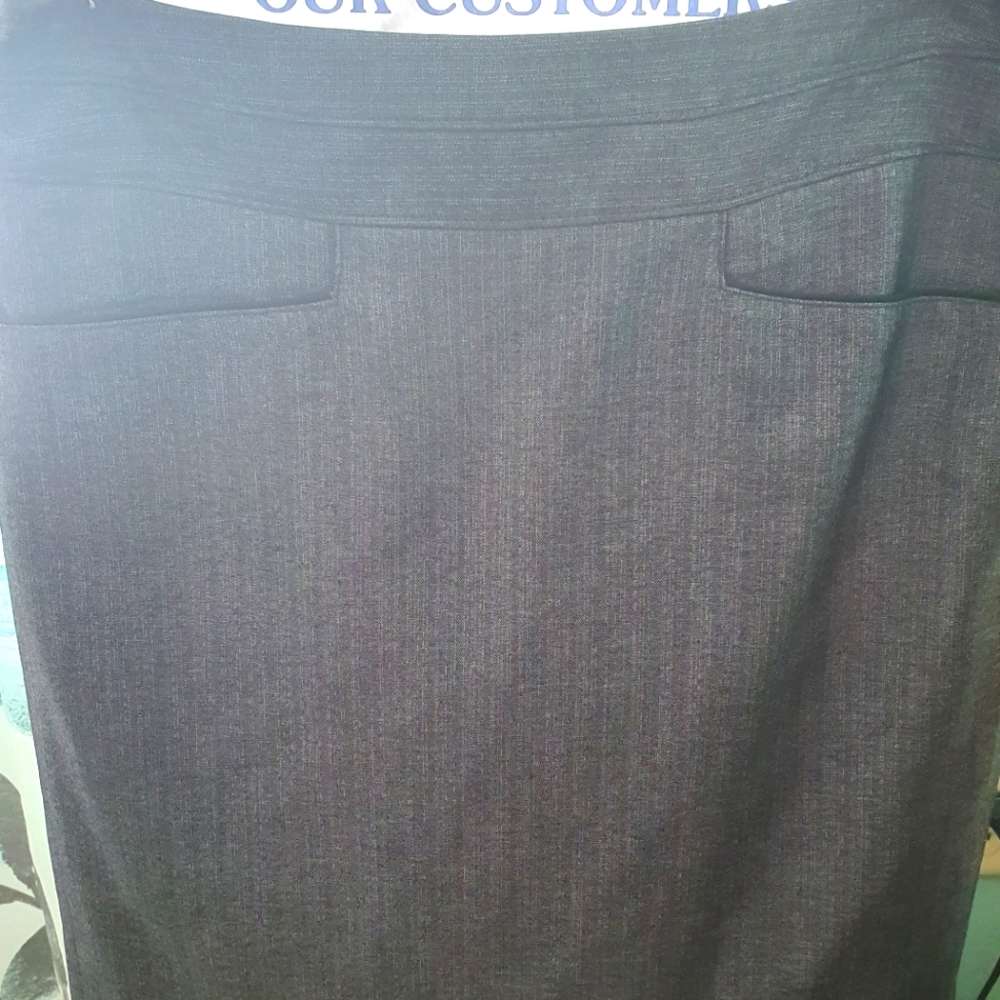 The Limited skirt